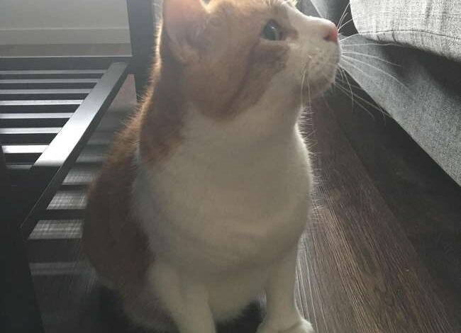 10 Fenomena Unik ini Buktikan Alam Penuh Dengan Keajaiban