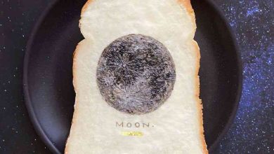 10 Desain Kreatif Roti Panggang Anti Mainstream