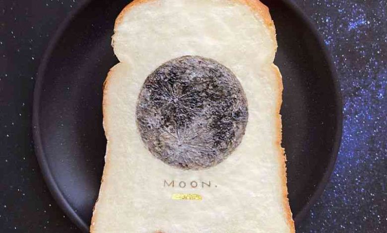 10 Desain Kreatif Roti Panggang Anti Mainstream